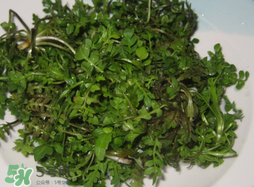 薺菜怎么洗？薺菜怎么洗才干凈？