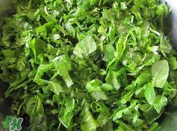 薺菜怎么洗？薺菜怎么洗才干凈？