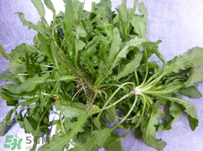 薺菜怎么保鮮？新鮮薺菜如何保鮮？