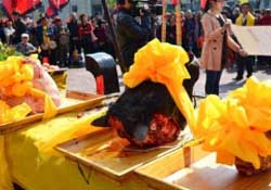 春分可以祭祀嗎？祭祀在春分前還是后？