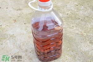 楊梅酒的做法 自制楊梅酒的做法 楊梅酒的做法 自制楊梅酒的做法