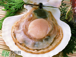 薺菜和扇貝可以一起吃嗎？薺菜扇貝湯的做法