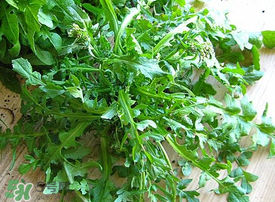 薺菜上有白點能吃嗎？薺菜背面有白點是什么？