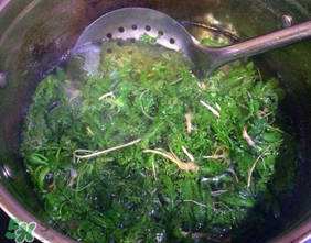 薺菜怎么焯水？薺菜焯水多久？
