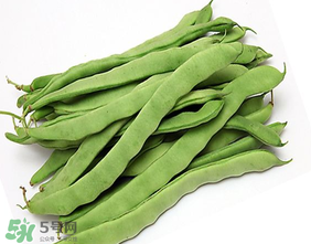 三月份可以種豆角嗎？豆角幾月份種？