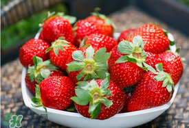 四月份還有草莓嗎？4月份還有草莓嗎？