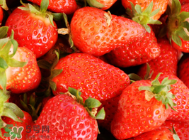 四月份還有草莓嗎？4月份還有草莓嗎？