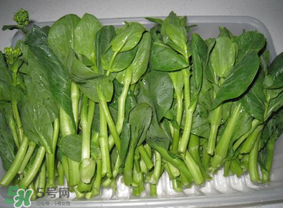 青菜苔可以吃嗎？青菜苔怎么做好吃？