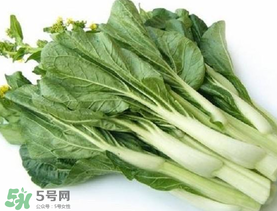 青菜苔可以吃嗎？青菜苔怎么做好吃？