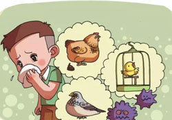 諾如病毒是禽流感嗎？春季重點(diǎn)預(yù)防禽流感和諾如病毒