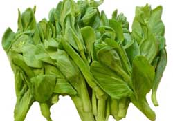 青菜苔可以吃嗎？青菜苔怎么做好吃？