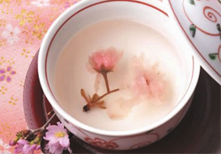 桃花酒孕婦可以喝嗎？懷孕了能喝桃花酒嗎？