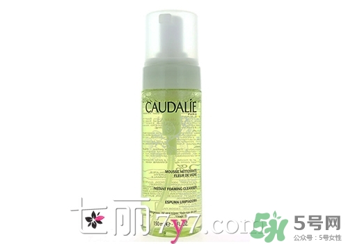 2017潔面泡沫哪個(gè)牌子好？2017潔面泡沫排行榜