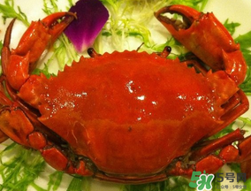 薺菜和螃蟹能一起吃嗎？薺菜螃蟹可以一起吃嗎？