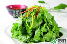 薺菜不能和什么一起吃？薺菜和什么相克？