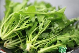 薺菜不能和什么一起吃？薺菜和什么相克？