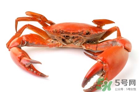 一年四季都能吃螃蟹嗎？一年四季都有吃螃蟹嗎？