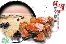 一年四季都有大閘蟹嗎？一年四季都可以吃大閘蟹嗎？