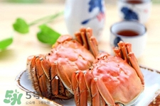 一年四季都有大閘蟹嗎？一年四季都可以吃大閘蟹嗎？