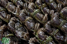 一年四季都有大閘蟹嗎？一年四季都可以吃大閘蟹嗎？