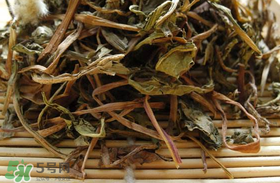 干的蒲公英多少錢一斤？蒲公英多少錢一斤干的？