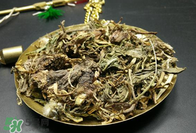 干的蒲公英多少錢一斤？蒲公英多少錢一斤干的？