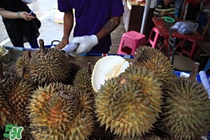 孕婦可吃榴蓮嗎 孕婦能吃榴蓮嗎 孕婦可吃榴蓮嗎 孕婦能吃榴蓮嗎