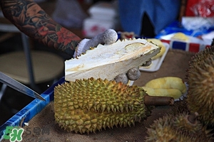 榴蓮的好處 吃榴蓮的好處 榴蓮的好處 吃榴蓮的好處