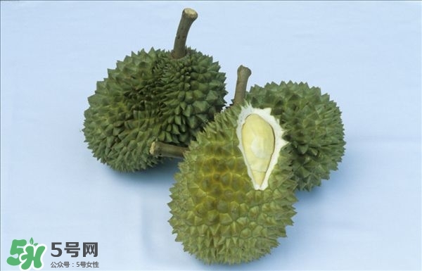 榴蓮的好處 吃榴蓮的好處 榴蓮的好處 吃榴蓮的好處