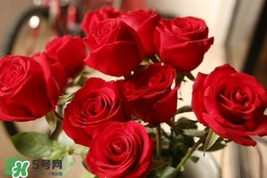 什么東西清火效果好？什么東西清火最快？