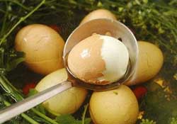 薺菜煮雞蛋孕婦能吃嗎？孕婦吃了薺菜煮雞蛋怎么辦？