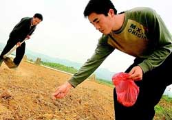 三月份可以種花生嗎？花生幾月份播種比較好？