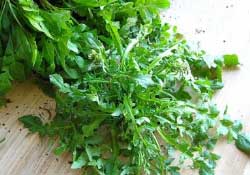 薺菜不能和什么一起吃？薺菜和什么相克？