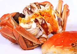 薺菜和螃蟹能一起吃嗎？薺菜螃蟹可以一起吃嗎？