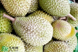 榴蓮的好處 吃榴蓮的好處 榴蓮的好處 吃榴蓮的好處