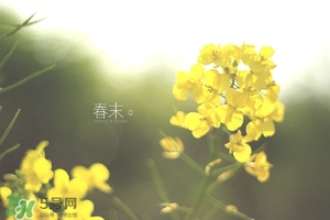 初夏養(yǎng)生 初夏養(yǎng)生小常識 初夏養(yǎng)生 初夏養(yǎng)生小常識