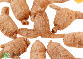 春天可以吃西洋參嗎？春天適合吃西洋參嗎？