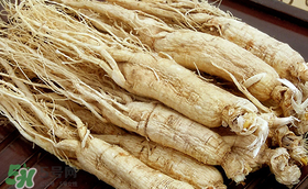 春天可以吃人參嗎？春季能進補人參嗎？