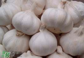 大蒜爛了一點(diǎn)還能吃嗎？大蒜爛根是怎么回事？