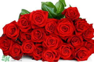 白色情人節(jié)是女生送男生禮物嗎？白色情人節(jié)是誰送誰？