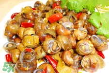 螺螄如何保存？螺絲怎樣儲(chǔ)存？