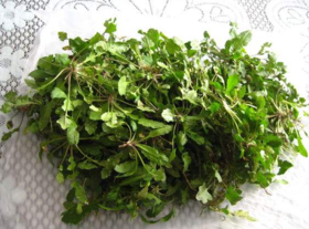 野生薺菜幾月份有？野生薺菜什么時候有？