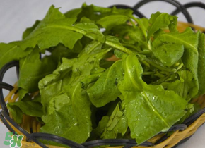 薺菜隔夜能吃嗎？隔夜的薺菜能吃嗎？