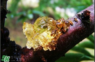 吃什么對皮膚好？怎么吃皮膚好？