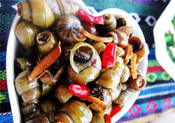 螺螄有寄生蟲嗎？螺螄有寄生蟲能吃嗎？