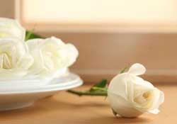 白色情人節(jié)送什么花？白色情人節(jié)送白玫瑰合適嗎？