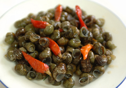 螺螄與田螺一樣嗎？螺螄與田螺的區(qū)別