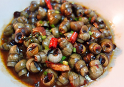 螺螄可以放冰箱保存嗎？新鮮螺螄能放冰箱嗎？