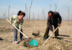 植樹節(jié)種樹要注意什么？植樹要注意哪些細(xì)節(jié)？