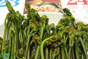 蕨菜為什么苦？蕨菜苦是怎么回事？